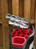 Taylormade P770 Iron Set