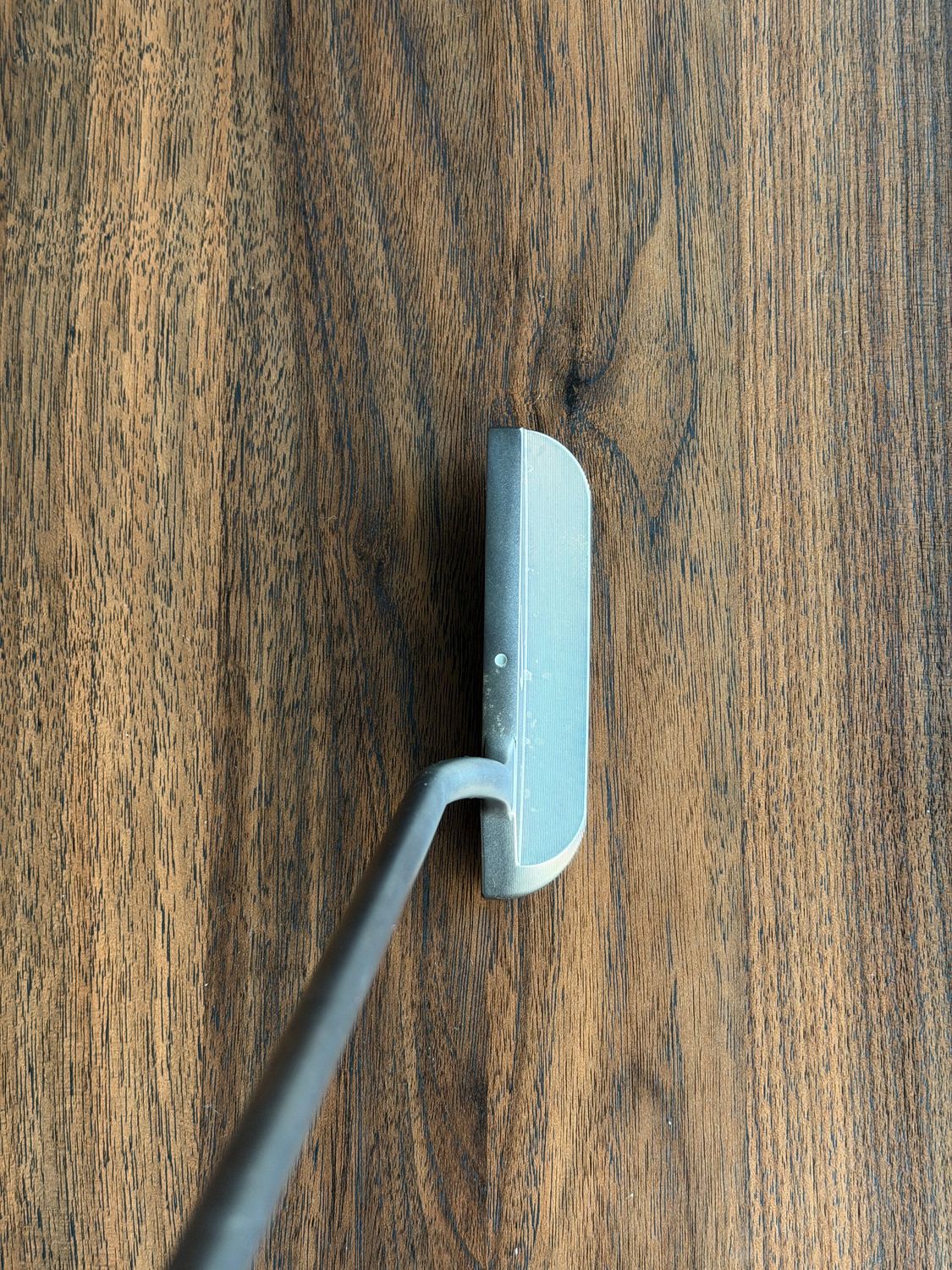 Nike Unitized Retro Putter