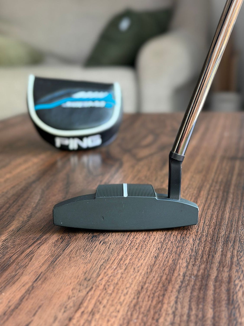 Ping Heppler Floki Putter with BGT Stability Shaft