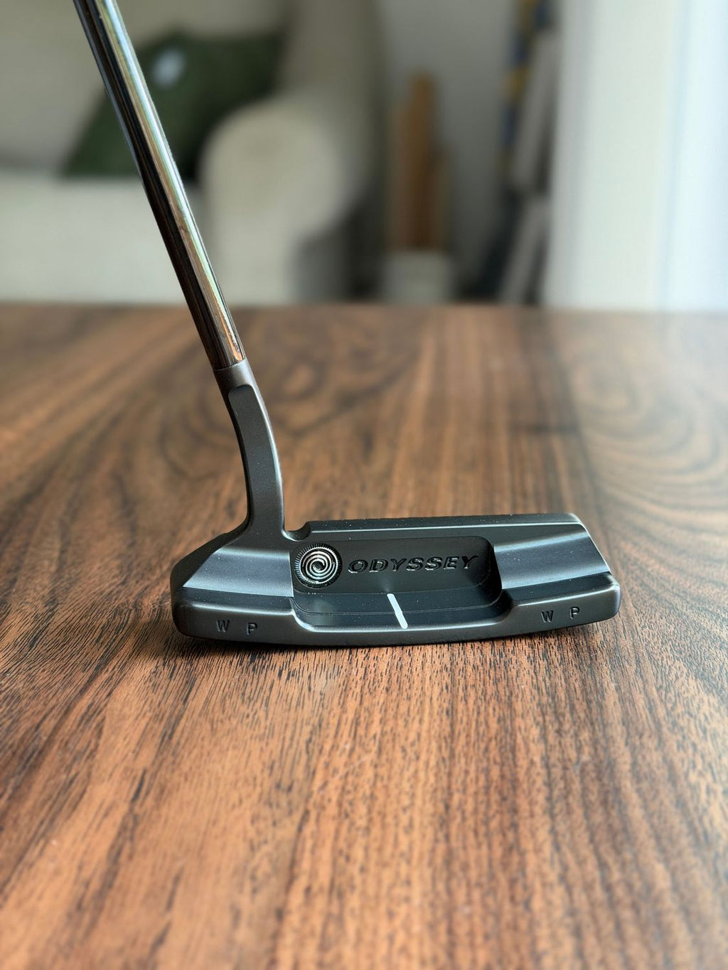 Toulon Garage Curved Neck Black San Diego Putter - Custom