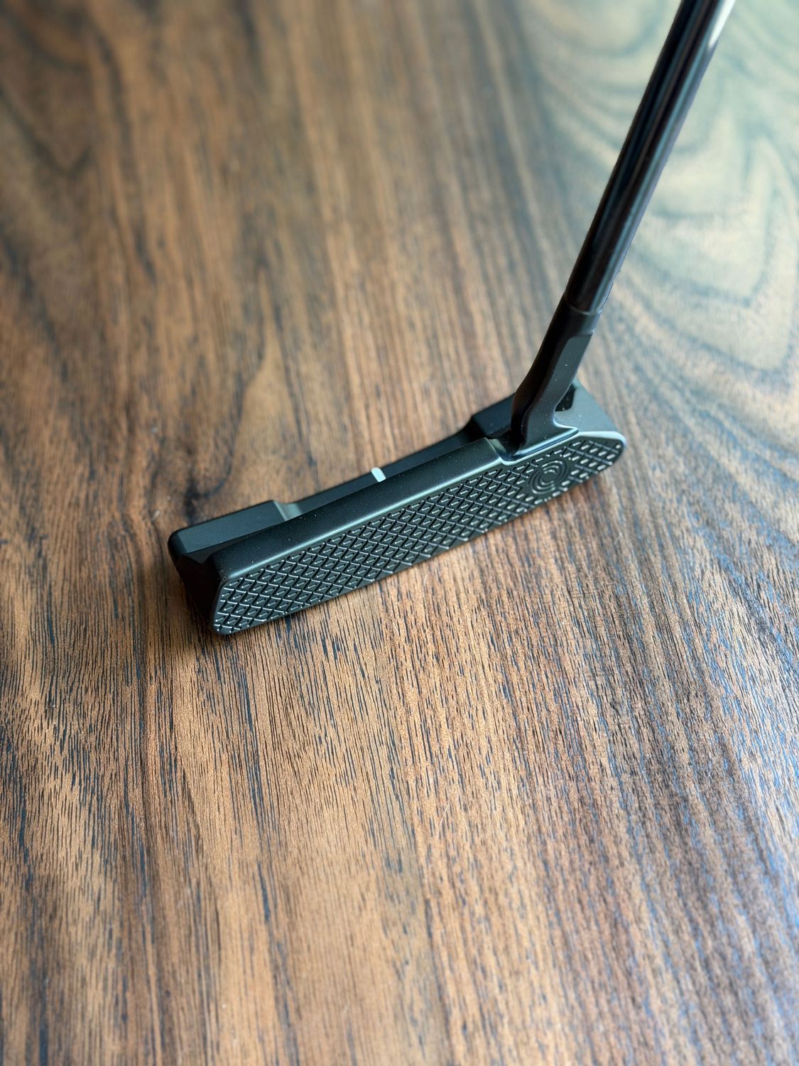 Toulon Garage Curved Neck Black San Diego Putter - Custom