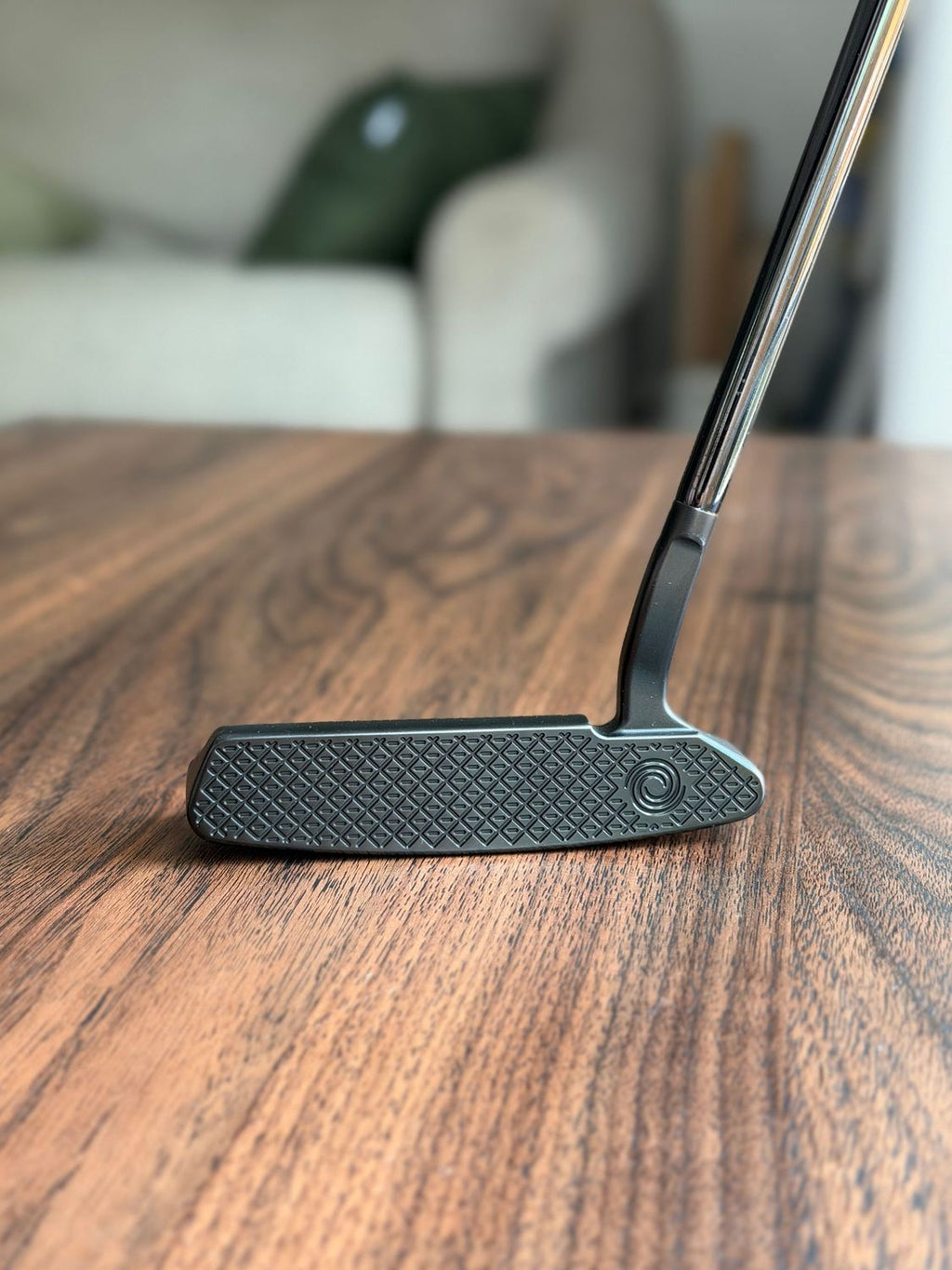 Toulon Garage Curved Neck Black San Diego Putter - Custom