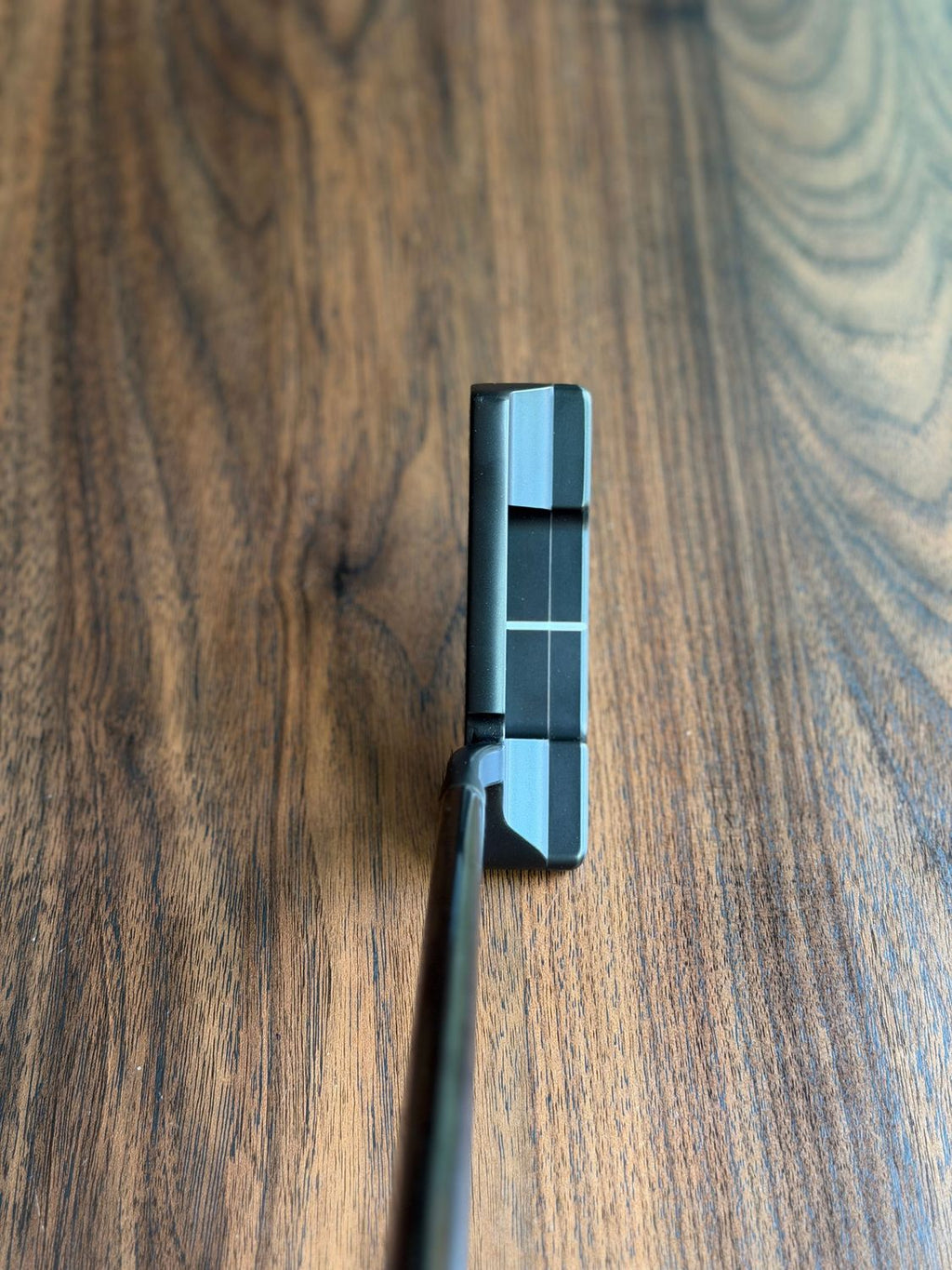 Toulon Garage Curved Neck Black San Diego Putter - Custom